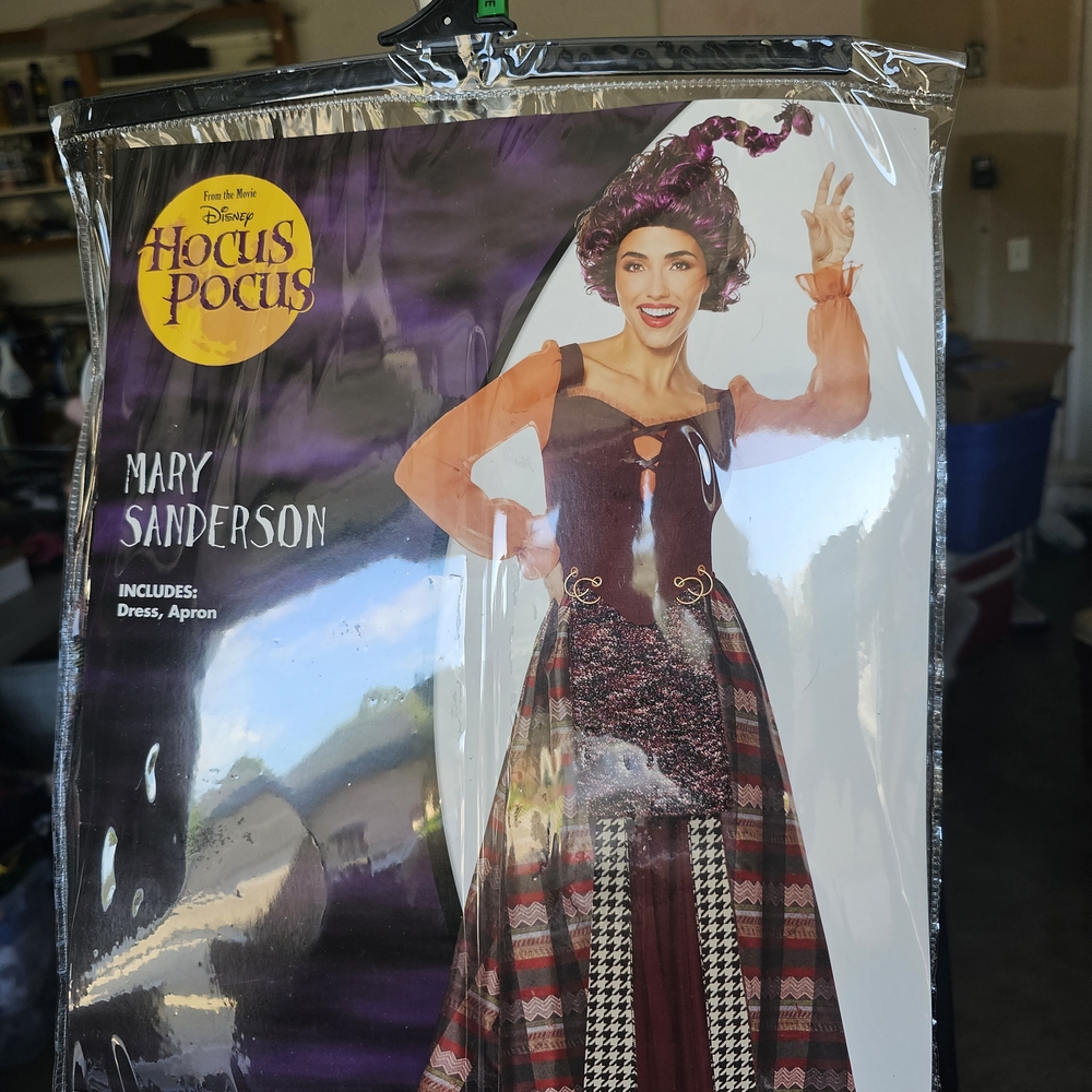 Disney Hocus Pocus Mary Sanderson Purple and Orange Costume